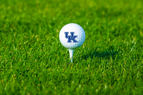 UK-branded golf ball on tee on the green.