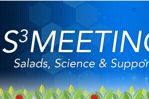s3 meetings
