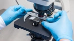 A person wearing blue gloves adjusts a glass slide under the lens of a laboratory microscope.
