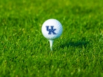 UK-branded golf ball on tee on the green.