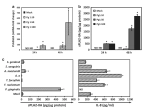 Fig. 2. Expression of PLA2-IIA is specifically induced by P. gingivalis in oral epithelial cells.